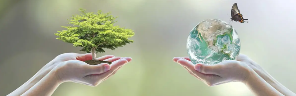 sustainability_1