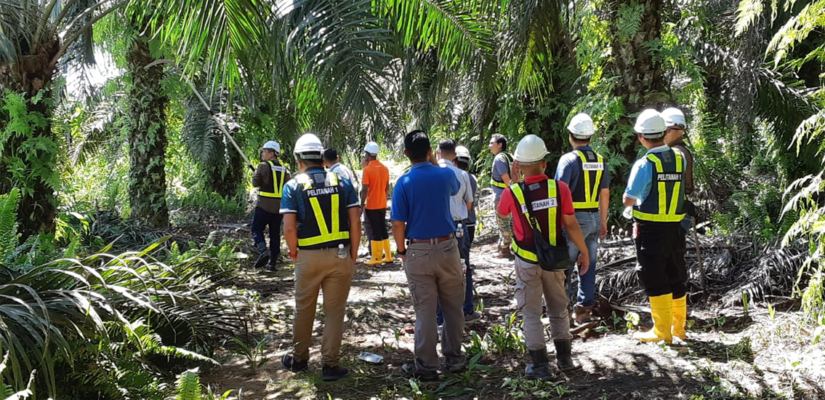 ENVIRONMENTAL CARE